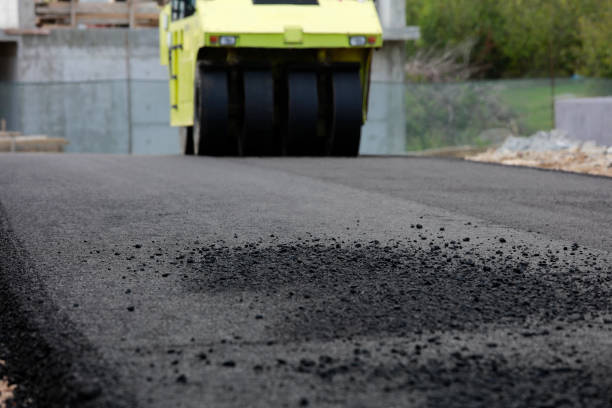 Best Driveway Paving Contractor  in Grant, MN